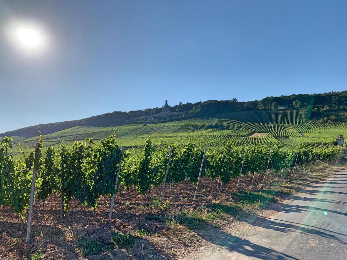 Fewo Zur Goldenen Traube Ruedesheim am Rhein Luaran gambar