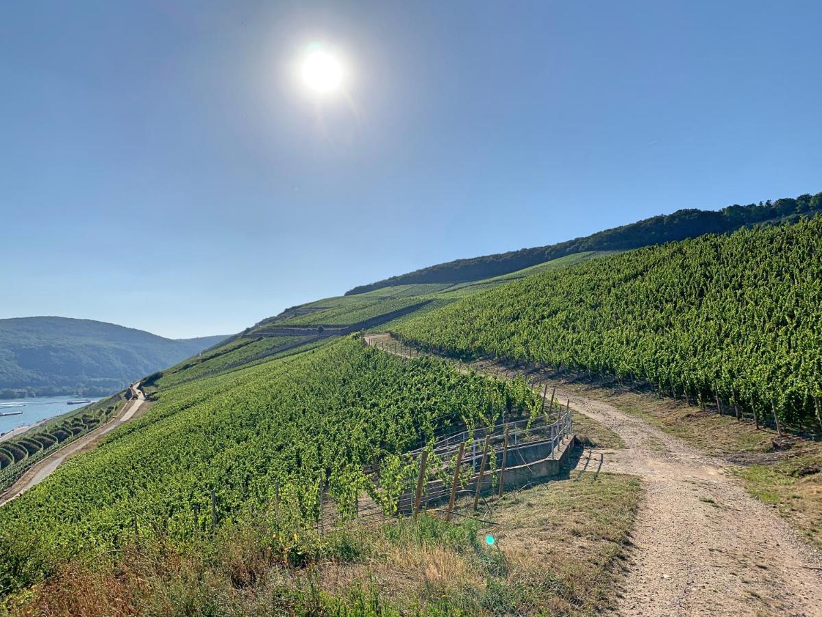 Fewo Zur Goldenen Traube Ruedesheim am Rhein Luaran gambar